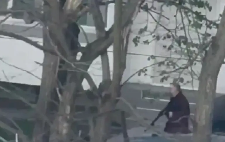 Клименко анонсировал проверку клиник, которые выдают справки для получения оружия