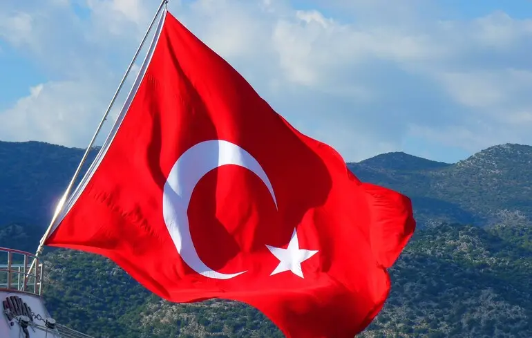 Парламент Туреччини схвалив обмеження соцмереж для дітей до 15 років