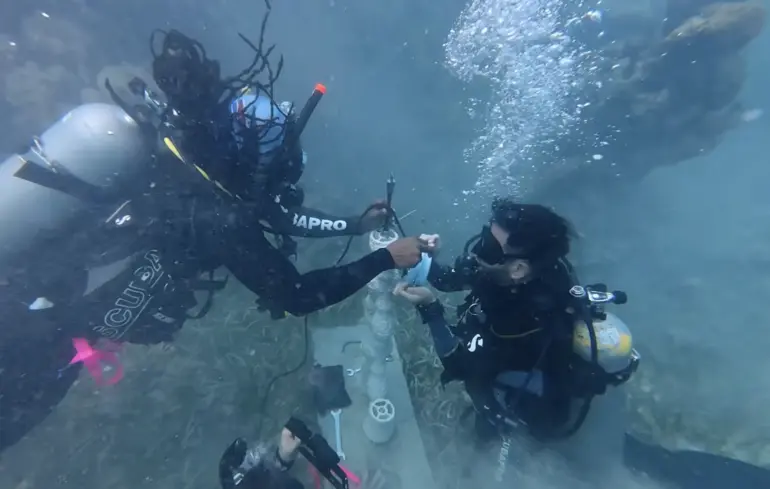 Підводні динаміки рятують корали: дайвери вмикають “саундтрек життя” біля рифів
