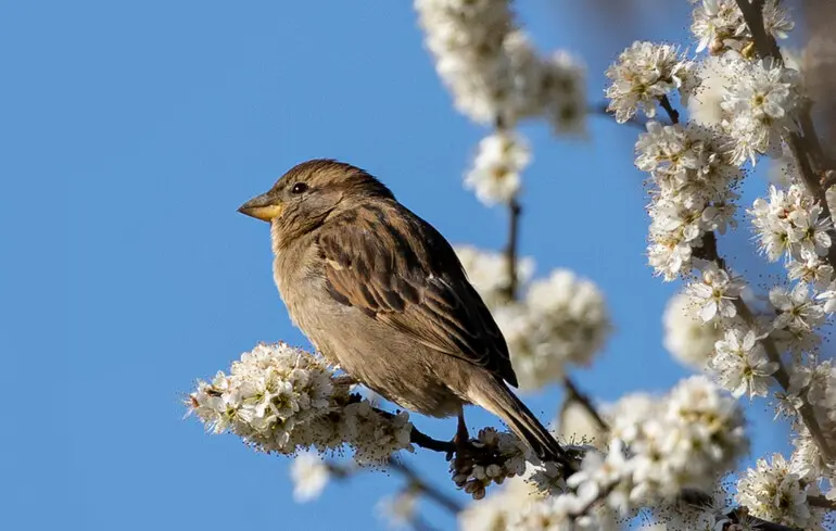 Возвращение тепла: синоптик назвал дату потепления