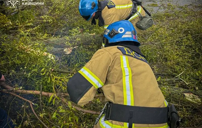 Буревій у Києві знищив історичний каштан на Печерську