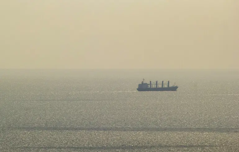 Росія тихцем постачає крадену в Україні пшеницю до Ізраїлю — розслідування