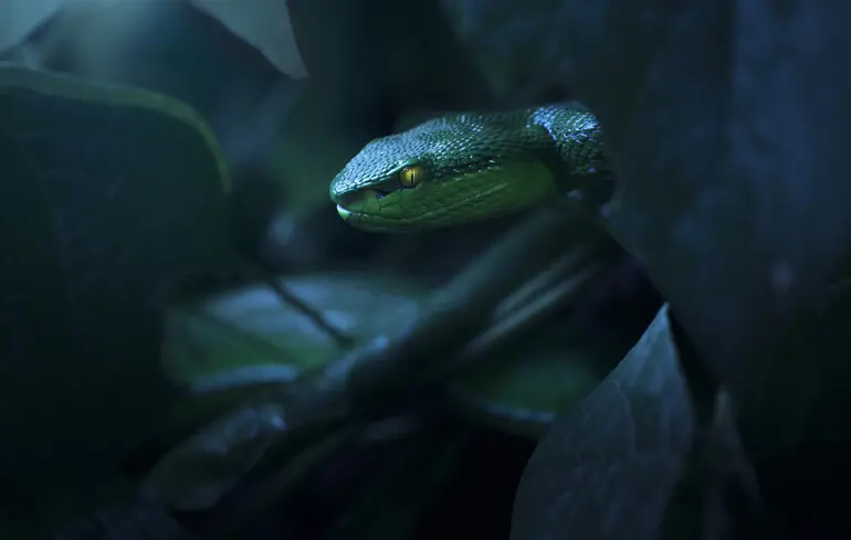 Чому не можна ігнорувати загрози нападу Росії на країни Балтії