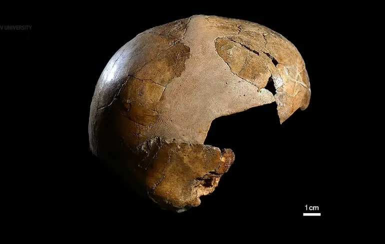 Сканування мозку розкрило несподівану правду про неандертальців