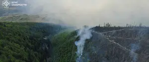 У Карпатах спалахнула масштабна лісова пожежа