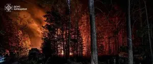 В Чернобыльской зоне до сих пор тушат масштабный лесной пожар: огонь распространился на 1200 га
