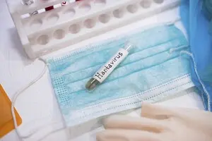 У ЦГЗ пояснили, чи небезпечний хантавірус для українців