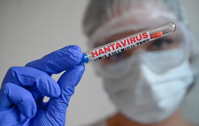 Andes virus и хантавирусы: что известно об инфекции, ее течении и рисках распространения