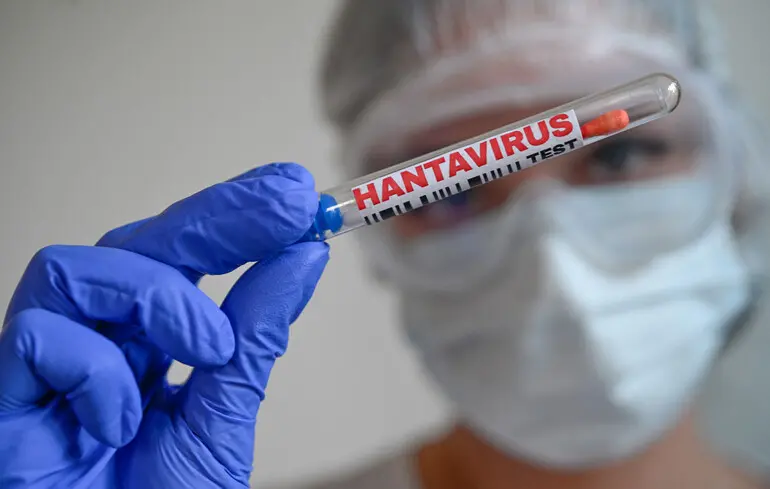 В ВОЗ призывают страны готовиться к новым случаям хантавируса