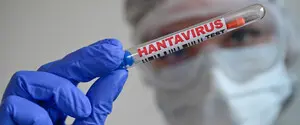 В ВОЗ призывают страны готовиться к новым случаям хантавируса
