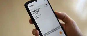 Автоматическое продление отсрочки: что следует проверить в реестрах