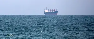 Через морской коридор Украины перевезли уже 197 млн тонн грузов — Кулеба