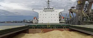 Турция вслед за Израилем отказалась разгружать судно с украденным Россией украинским зерном
