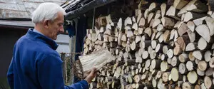 Украинцы бьют рекорды и раскупают дрова с бешеной скоростью