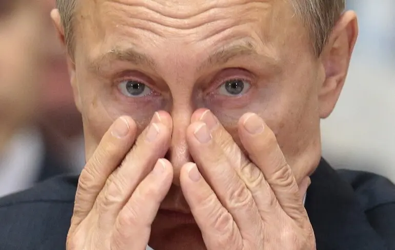 Органи свиней для Путіна: WSJ розкрила новий науковий проєкт Кремля за $26 млрд