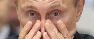 Органы свиней для Путина: WSJ раскрыла новый научный проект Кремля за $26 млрд