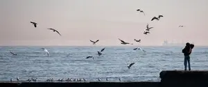 Залужный назвал основные угрозы безопасности в Черноморском регионе