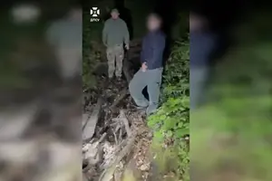 Путь в Румынию отменяется: киевлянин почти проиграл спор медведице, пытаясь бежать из страны