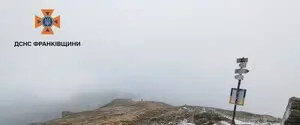 В Карпатах выпал снег — фото