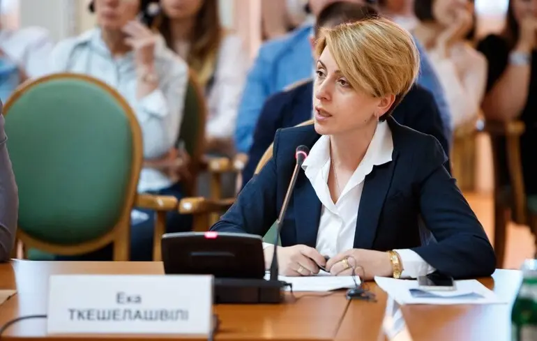 Ека Ткешелашвілі: «Політична воля не виникає сама собою — її формують»