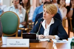 Эка Ткешелашвили: «Политическая воля не возникает самая собой — ее формируют»