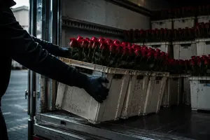 Контрабандный букет: три года схем, миллионы долларов потерь и никакой ответственности