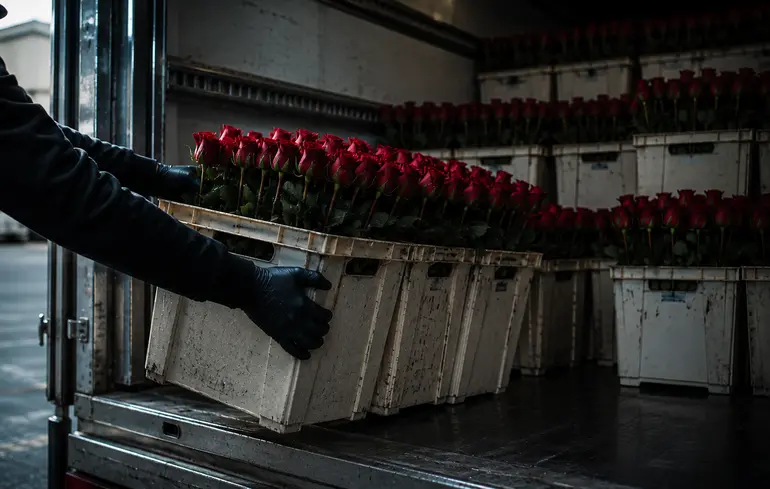 A Contraband Bouquet: Three Years of Schemes, Millions of Dollars in Losses and No One Held to Account