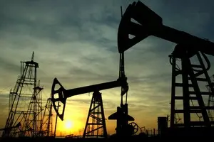 Глава МИД Индии: США просили закупать российскую нефть для стабилизации рынка