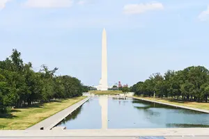 «Зелёное фиаско» Трампа: ремонт в центре Вашингтона обернулся громким скандалом — El País