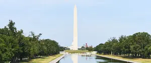 «Зеленое фиаско» Трампа: ремонт в центре Вашингтона обернулся громким скандалом — El País