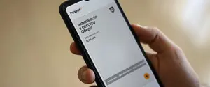 В «Резерв+» временно приостановили работу некоторых сервисов, требующих подтверждения инвалидности
