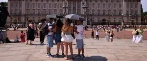 Экстремальная жара сорвала конференцию, посвященную аномальной жаре