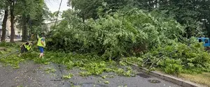 После аномальной жары на Львов обрушилась сильная гроза: повалены деревья и светофоры, молния поразила девочку