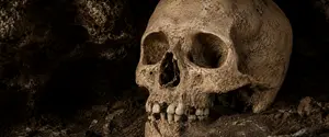 100 тысяч лет назад: археологи обнаружили следы самого древнего случая насилия между Homo sapiens
