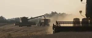 Нехватка дизельного топлива поставила под угрозу уборку зерна в России