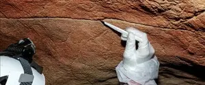 Ученые впервые нашли ДНК людей на стенах пещеры