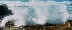 Кисень у водоймах Землі стрімко зникає: вчені попередили про нову глобальну загрозу