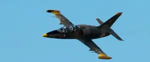 В Краснодарском крае РФ разбился учебно-тренировочный самолет L-39