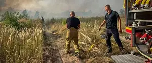 Под Киевом второй день горит свалка. Пожар перекинулся на лес