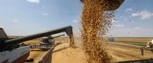 Работа трех ключевых зерновых терминалов в РФ ограничена из-за атак дронов — Reuters