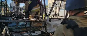 Дроны атаковали Николаев и область: пострадала супружеская пара, повреждены лицей и школьный автобус 