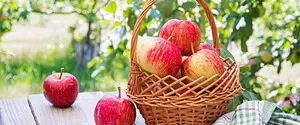 Яблочный Спас: запреты и приметы