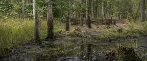 Древнее ритуальное подношение: в Чехии обнаружили клад бронзового века