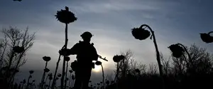 Прогресс Украины в войне дает Европе редкий шанс усилить давление на Путина, главное — им воспользоваться — Atlantic Council