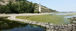 Реки Европы опустились до исторических минимумов: засуха угрожает судоходству и энергетике