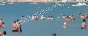 Дрон, который упал на пляже в Геленджике и убил семерых россиян, сбила российская ПВО — ЦПД 
