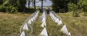 Войска РФ продвинулись в двух областях — DeepState
