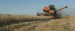Украина ищет новые маршруты для экспорта зерна из-за блокировки портов Россией — Reuters