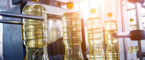 Российские атаки на порты больше всего сказываются на экспорте подсолнечного масла — эксперт