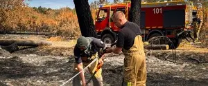 ГСЧС рассказала, как украинские спасатели помогают тушить пожары во Франции